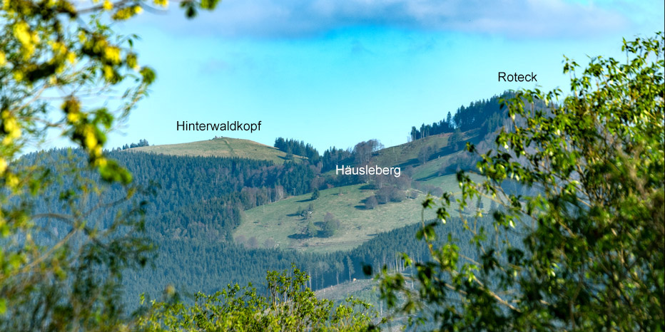 Hinterwaldkopf