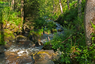 Löffeltal, Löffelbach