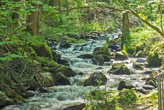 Löffeltal, Löffelbach