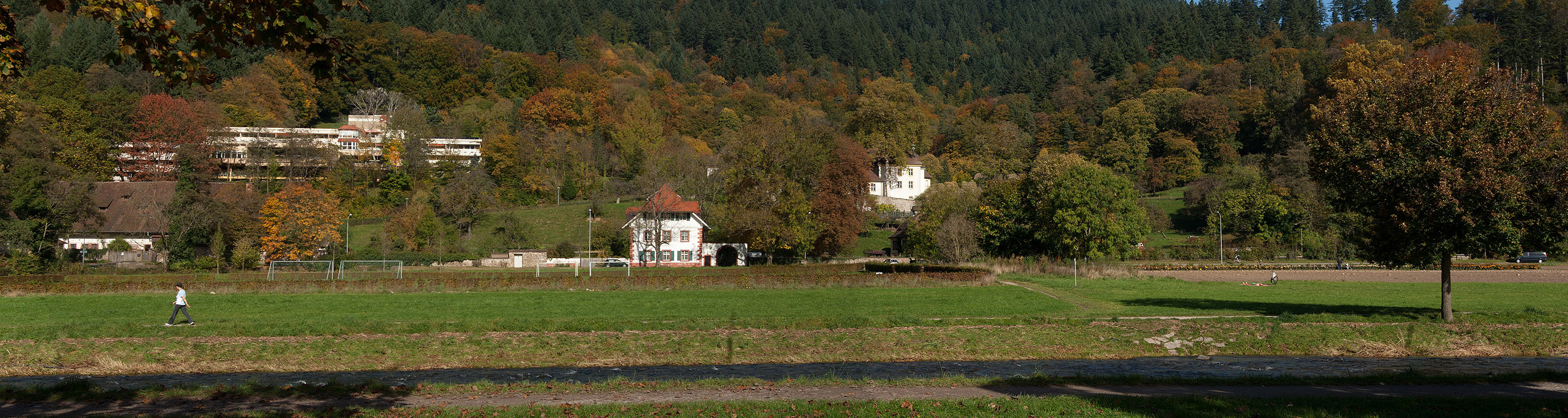 Freiburger Kartause