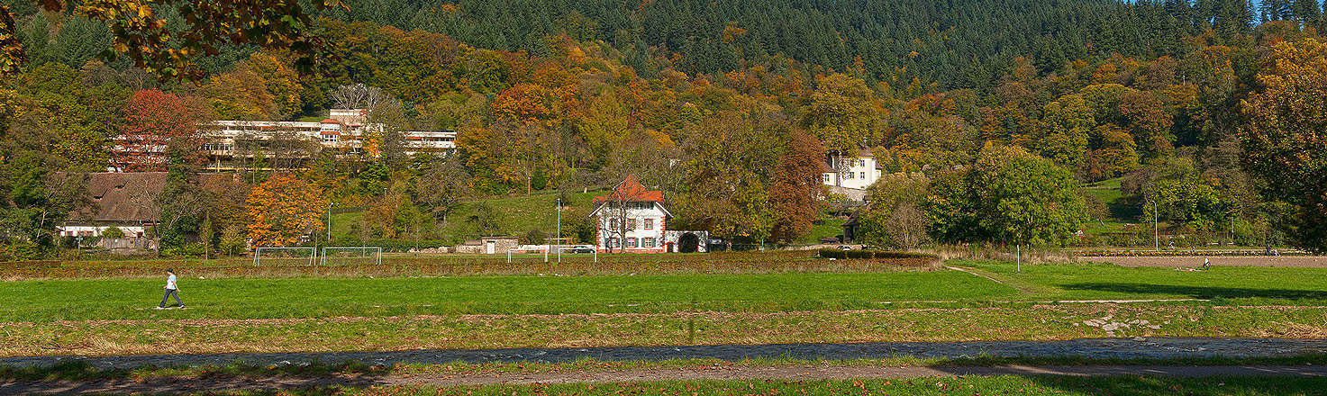 Freiburger Kartause