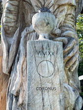 Coronus