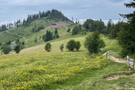 Hinterwaldkopf