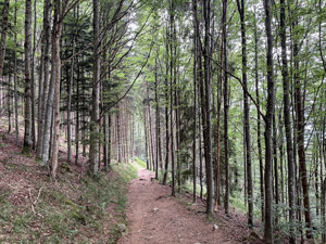 Hinterwaldkopf