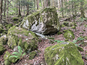 Hinterwaldkopf