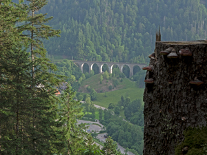 Hinterwaldkopf