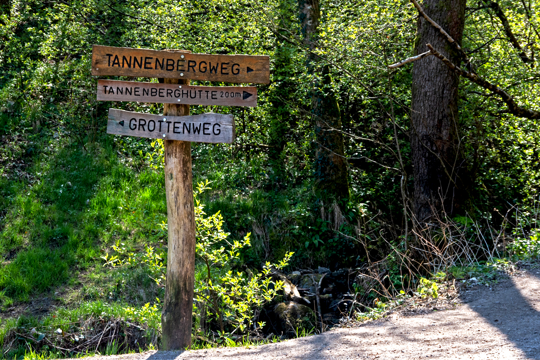 Tannenbergweg