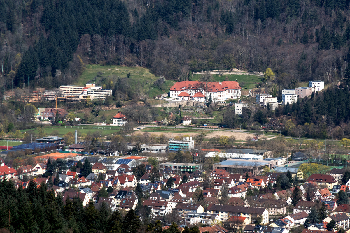 Wiedenbachweg