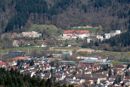 Wiedenbachweg