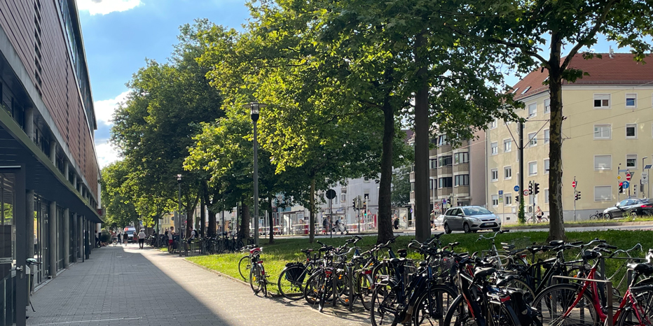 Schwarzwaldstraße Freiburg