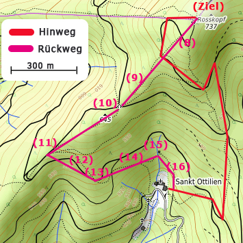 Roßkopfsattel
