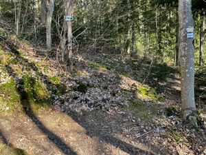 Wichtelpfad-Schlangenkapelle