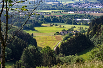 Wichtelpfad-Schlangenkapelle