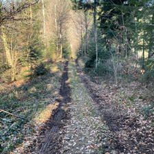Wichtelpfad-Schlangenkapelle