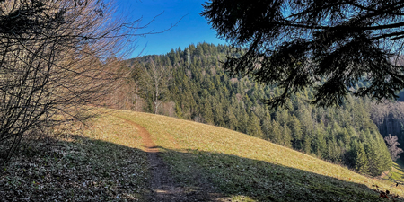 Wichtelpfad-Schlangenkapelle