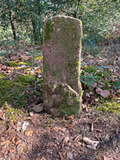 Wichtelpfad-Schlangenkapelle