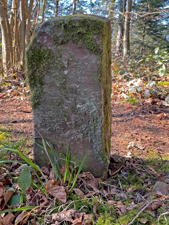 Wichtelpfad-Schlangenkapelle